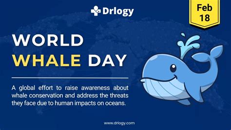 world whale day 2024